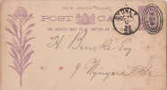 RARE ENTIER  NOUVELLE GALLES DU SUD  1892 - Storia Postale