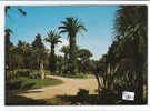 PO0901A # CASERTA - Parco Reale - Partic. Giardino Inglese  VG - Caserta