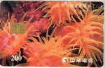 # TAIWAN 902C Anemone 200 Puce?   Tres Bon Etat - Taiwan (Formose)