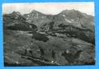 74.Environs De TANINGES. Vue Aérienne Sur Le Plateau Des PRAZ DE LYS . - Taninges