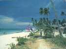 (01) Carte Postale Des Philippines - Philippines Postcard - Boroay Beach - Philippines