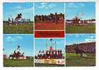 Postcard - Horse Show, Ljubičevo, Serbien - Paardensport