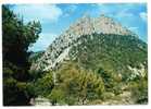 Cpsm 26 BUIS LES BARONNIES Rocher St Julien - Buis-les-Baronnies