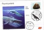 M879 Postal Card Romania Baleines Whales Blue Whale Perfect Shape - Baleines