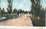 TOLEDO - BRIDGE AT OTTAWA PARK 1907 - Toledo