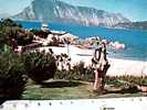 SAN TEODORO   SARDEGNA  CODA DI CAVALLO  VB1981  CT17282 - Olbia