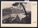 Ueber Dem Silsersee ; Photo Und Verlag Albert Steiner St-Moritz ; Gr. Format (2568) - St. Moritz