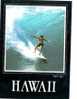 Zs3928 Surfing In Hawai Not Used Perfect Shape - Ski Nautique