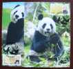 Maxi Cards 2010 Giant Panda Bear ATM Frama Stamps-- Red Imprint- Bamboo Bears WWF - Timbres De Distributeurs [ATM]