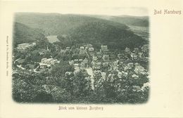 AK Bad Harzburg Ort Vom Kleinen Burgberg ~1900 #08 - Bad Harzburg