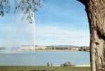 Australia 1976 Canberra - Lake Burley Griffin With Captain Cook Memorial Prepaid PC Unused - Canberra (ACT)