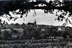 89. Yonne :  Chéroy . Paysages D ´ Automne . - Cheroy