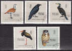 POLOGNE  /  1960  /   (°) USED  /    BIRDS, OISEAUX, VOGELS, AVES - Gebruikt