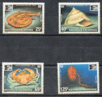 NOUVELLE-CALEDONIE  : Faune Marine : Halieutaea Stellata (poisson Chauve  Souris,Perotrochus Deforgesi (gastéropode), Mu - Unused Stamps