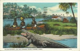 AK / PC Panama Canal Chagres River Alligator 1936 Tax #03 - Panama