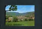 Niederbronn - Vue Générale - 6853 - Niederbronn Les Bains