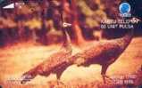 # INDONESIA S189 Burung Merak 60 Tamura 11.93  -animal-  Tres Bon Etat - Indonesia