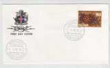 Iceland FDC 14-6-1972 Centenary Of Muncipal Taws - FDC