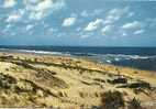 Plage De La Côte Aquitaine, Ref 1012-568 - Aquitaine