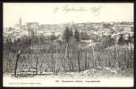 CPA  ANCIENNE- FRANCE- ROUSSILLON (38)- VUE GENERALE DU VILLAGE EN GROS PLAN - VIGNES HAUTES EN HIVER- - Roussillon