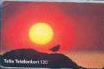 # SWEDEN 60114-43 Sunset 120 Orga 05.98  Tres Bon Etat -birds,oiseaux- - Schweden