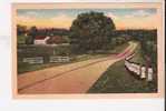 Road View - Pub. By Asheville Postcard Co., Asheville, North Carolina - American Roadside