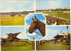 CHAMPS DE COURSES LONGCHAMP AUTEUIL EVRY VINCENNES   1976 - Paardensport