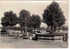 Carte Photo -BRIOUDE Le Squarre De La Place De La Liberté    Cim - Brioude