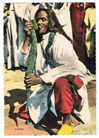 MAROC    Scenes Et Types   Charmeur De Serpent - Africa