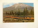 Oregon - The Shasta Daylight - Train      D71741 - Andere & Zonder Classificatie