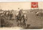 Theme  Sport CHEVAUX   ** -Paris    Aux Courses   Avant Le Départ ** - Paardensport