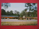 Knotty Pine Motel  3 Miles South Lumberton NC    Early Chrome ---------------------------------- (ref 109) - Carolina Beach