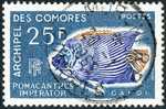 COMORES 1968 - Yv. 48 Obl.  Cote= 5,00 EUR - Poisson Pomacanthus Imperator ..Réf.AFA10389 - Used Stamps