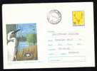 Birds Ornithology Vögel Cranes Oiseaux  STE 1972 ROMANIA - Pelicans