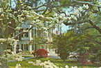 ASHLEY HALL - CHARLESTON - SOUTH CAROLINA - The Garden Of Ashley Hall, A School For Girls... - TBE, Neuve, 2 Scans - Charleston