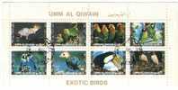 1972 , Umm Al Qiwain ,Oiseaux ,exotic Birds , Vogels, Pajaros, Block, Used - Umm Al-Qiwain