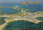 Carte Postale 29. Île De Sein  Et Le Café-Restaurant "Chez Annick"  Quai Des Français  Vue D'avion   Trés Beau Plan - Ile De Sein