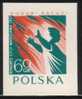 POLAND 1957 INTERNATIONAL FIRE FIGHTING CONGRESS COLOUR IMPERF PROOF NHM (NO GUM) Fireman Child - Prove & Ristampe