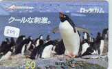 Télécarte Japon * Oiseau * Pingouin (809) MANCHOT * PENGUIN * BIRD * PHONECARD JAPAN * PINGUIN * VOGEL * - Pinguins