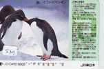 Télécarte Japon * Oiseau * Pingouin (839) MANCHOT * PENGUIN * BIRD * PHONECARD JAPAN * PINGUIN * VOGEL * - Pinguins