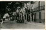 CHATEAURENARD - Bd De La Gare - Chateaurenard