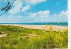 (NE304) GROETEN VAN AMELAND. PLAGE. STRAND - Ameland