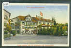 MÄNNEDORF - HOTEL WILDENMANN - TB - Dorf