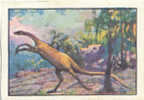 Image /  Struthiomimus  / Thème Dinausores Dinausore Dinausor Animaux Préhistoriques  // Ref IM 6-K/99 - Nestlé