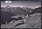 Riederalp 1920 M (3964) - Riederalp