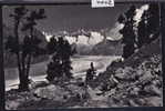 Naturschutzgebiet Aletschwald Bei Riederalp Ob Mörel (4002) - Riederalp