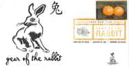Lunar New Year - Year Of The Rabbit First Day Cover, From Toad Hall Covers! - 2011-...