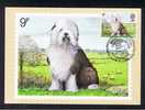 RB 682 - GB 1979 - PHQ Maximum Cards Set Of 4 First Day Issue - Dogs - Animal Theme - PHQ Cards