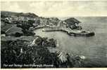 ROYAUME-UNI - ILFRACOMBE - CPA - N°10217 - Ilfracombe, Pier And Harbour From Hillsborough - Ilfracombe