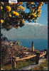 Ascona - Lago Maggiore - 1959 (4111) - Ascona